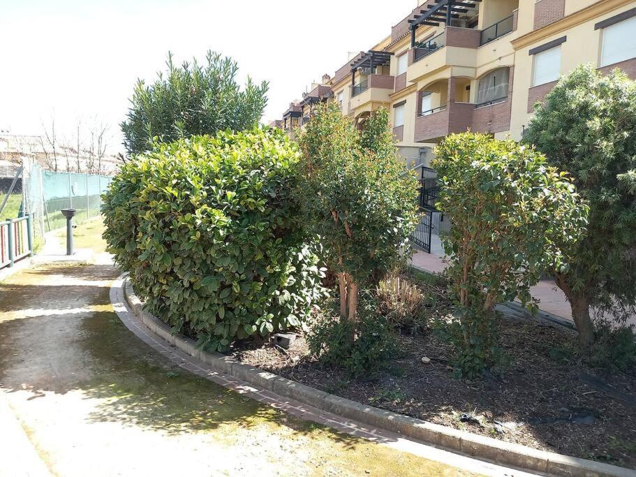 El Nido Del Nomada Apartment Atarfe Luaran gambar